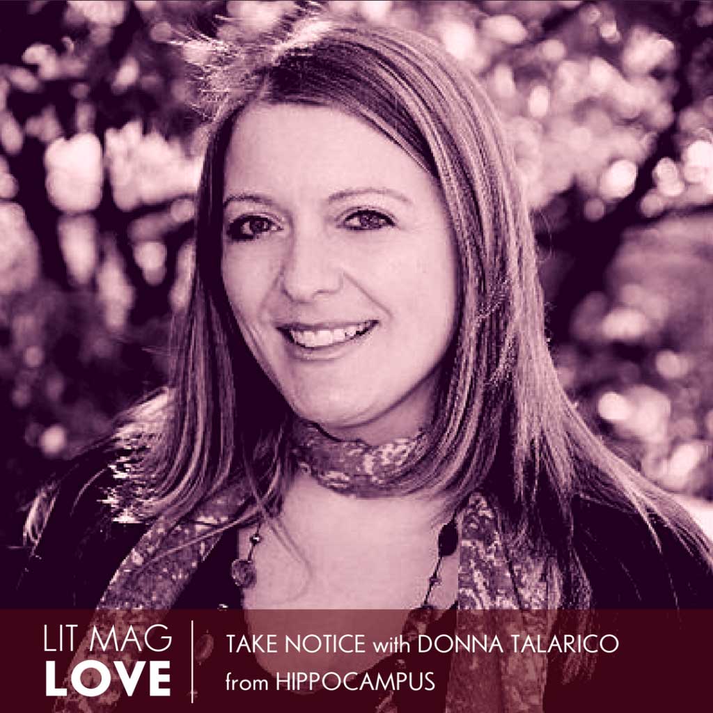 16 //  Take Notice with Donna Talarico of Hippocampus