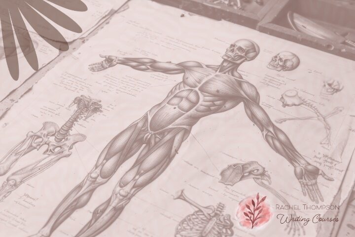 Your Body Has Notes for You